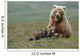 Grizzly Bear Sow W/4 Young Cubs Wall Mural