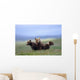 4 Young Brown Bear Cubs Huddled Together Wall Mural