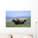 4 Young Brown Bear Cubs Huddled Together Wall Mural