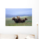 4 Young Brown Bear Cubs Huddled Together Wall Mural