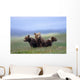 4 Young Brown Bear Cubs Huddled Together Wall Mural