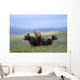 4 Young Brown Bear Cubs Huddled Together Wall Mural