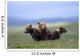 4 Young Brown Bear Cubs Huddled Together Wall Mural