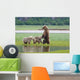 Coastal Brown Bear Sow With Her Two Spring Cubs At Hallo Bay Wall Mural