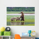 Coastal Brown Bear Sow With Her Two Spring Cubs At Hallo Bay Wall Mural