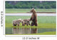 Coastal Brown Bear Sow With Her Two Spring Cubs At Hallo Bay Wall Mural