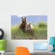 Bear Cubs Standing On A Riverbank At Hallo Bay Wall Mural