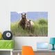 Bear Cubs Standing On A Riverbank At Hallo Bay Wall Mural