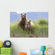 Bear Cubs Standing On A Riverbank At Hallo Bay Wall Mural