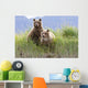 Bear Cubs Standing On A Riverbank At Hallo Bay Wall Mural