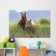 Bear Cubs Standing On A Riverbank At Hallo Bay Wall Mural