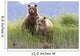 Bear Cubs Standing On A Riverbank At Hallo Bay Wall Mural
