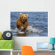 Coastal Grizzly Fishing In Hallo Bay Katmai National Park, Alaska Wall Mural