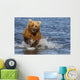 Coastal Grizzly Fishing In Hallo Bay Katmai National Park, Alaska Wall Mural