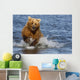 Coastal Grizzly Fishing In Hallo Bay Katmai National Park, Alaska Wall Mural