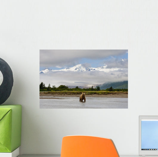 Coastal Grizzly Sow Fishing At Hallo Bay Katmai National Park, Alaska Wall Mural