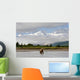 Coastal Grizzly Sow Fishing At Hallo Bay Katmai National Park, Alaska Wall Mural