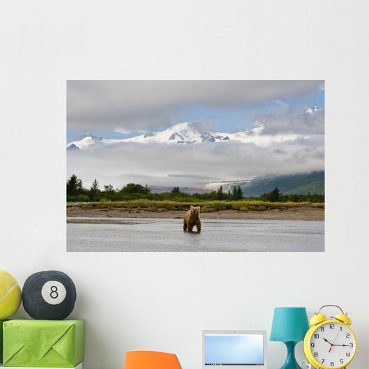 Coastal Grizzly Sow Fishing At Hallo Bay Katmai National Park, Alaska Wall Mural