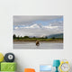 Coastal Grizzly Sow Fishing At Hallo Bay Katmai National Park, Alaska Wall Mural