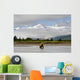 Coastal Grizzly Sow Fishing At Hallo Bay Katmai National Park, Alaska Wall Mural