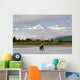 Coastal Grizzly Sow Fishing At Hallo Bay Katmai National Park, Alaska Wall Mural