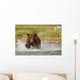 Coastal Grizzly Boar Fishing At Geographic Harbor Wall Mural