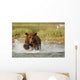 Coastal Grizzly Boar Fishing At Geographic Harbor Wall Mural