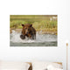 Coastal Grizzly Boar Fishing At Geographic Harbor Wall Mural