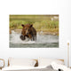 Coastal Grizzly Boar Fishing At Geographic Harbor Wall Mural