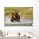 Coastal Grizzly Boar Fishing At Geographic Harbor Wall Mural