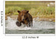 Coastal Grizzly Boar Fishing At Geographic Harbor Wall Mural
