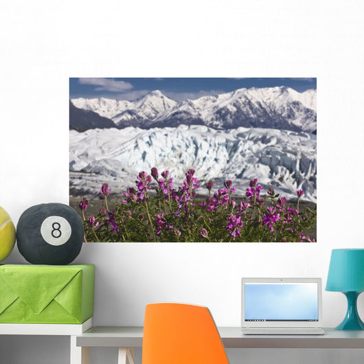 Scenic View Of Matanuska Glacier Wall Mural