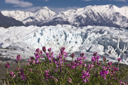 Scenic View Of Matanuska Glacier Wall Mural