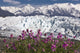 Scenic View Of Matanuska Glacier Wall Mural