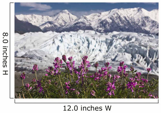 Scenic View Of Matanuska Glacier Wall Mural