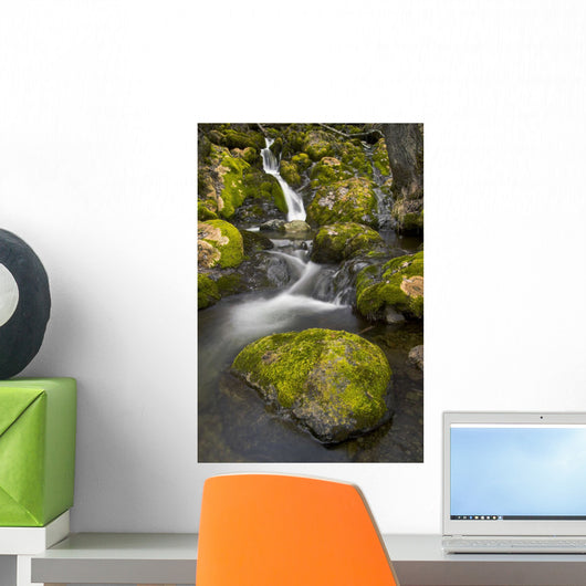 Scenic View Of Falls Creek And Waterfall With Moss Covered Rocks Wall Mural