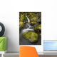 Scenic View Of Falls Creek And Waterfall With Moss Covered Rocks Wall Mural
