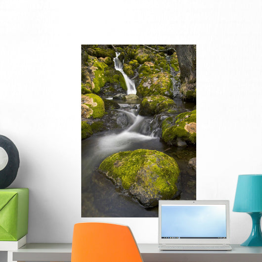 Scenic View Of Falls Creek And Waterfall With Moss Covered Rocks Wall Mural