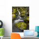 Scenic View Of Falls Creek And Waterfall With Moss Covered Rocks Wall Mural