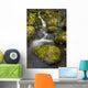 Scenic View Of Falls Creek And Waterfall With Moss Covered Rocks Wall Mural