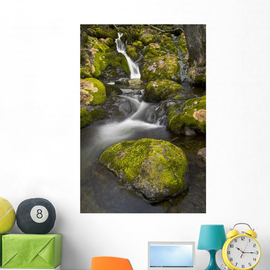 Scenic View Of Falls Creek And Waterfall With Moss Covered Rocks Wall Mural
