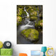 Scenic View Of Falls Creek And Waterfall With Moss Covered Rocks Wall Mural