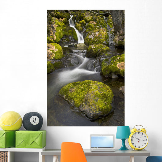 Scenic View Of Falls Creek And Waterfall With Moss Covered Rocks Wall Mural
