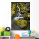 Scenic View Of Falls Creek And Waterfall With Moss Covered Rocks Wall Mural