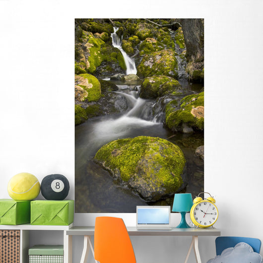 Scenic View Of Falls Creek And Waterfall With Moss Covered Rocks Wall Mural