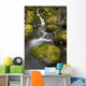 Scenic View Of Falls Creek And Waterfall With Moss Covered Rocks Wall Mural