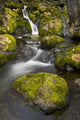 Scenic View Of Falls Creek And Waterfall With Moss Covered Rocks Wall Mural