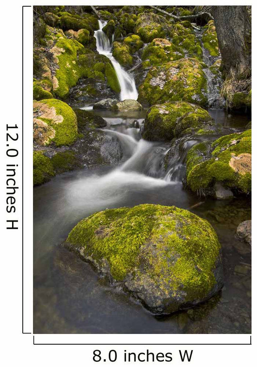 Scenic View Of Falls Creek And Waterfall With Moss Covered Rocks Wall Mural