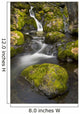 Scenic View Of Falls Creek And Waterfall With Moss Covered Rocks Wall Mural
