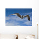 Sabine's Gull In Flight North Slope, Arctic, Alaska, Summer Wall Mural